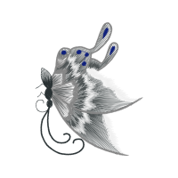 Sketch Animals Sketch Animals