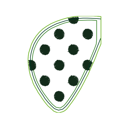 Software Animals Software Animals