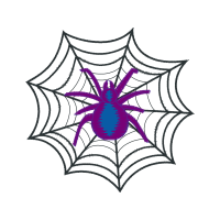 Spider Animals Spider Animals