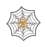 Spider Animals Spider Animals