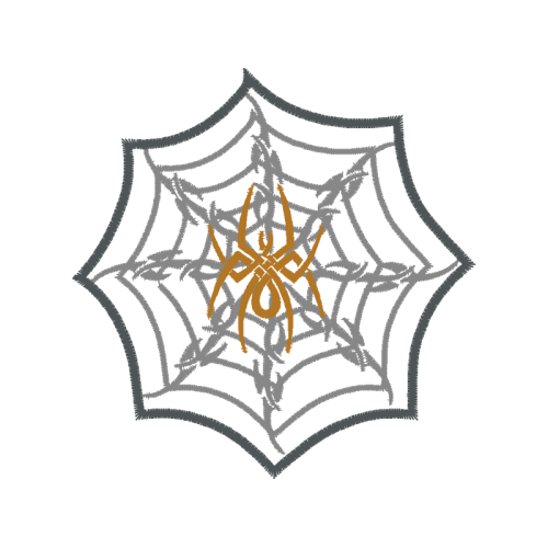 Spider Animals Spider Animals