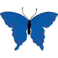 Swallowtail Butterfly Animals Swallowtail Butterfly Animals