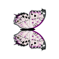 Swallowtail Butterfly Animals Swallowtail Butterfly Animals