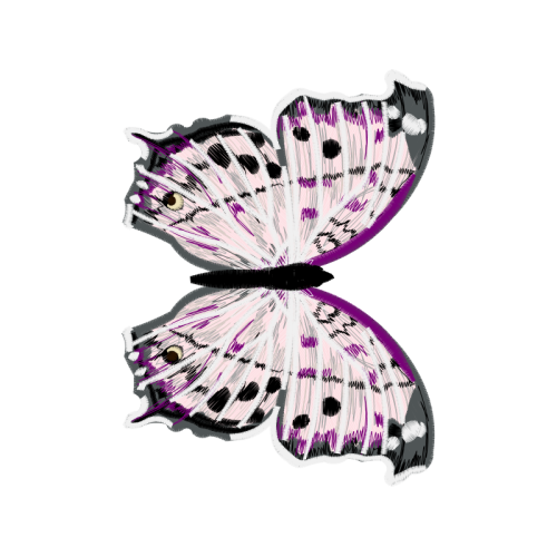 Swallowtail Butterfly Animals Swallowtail Butterfly Animals