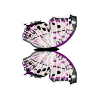 Swallowtail Butterfly Animals Swallowtail Butterfly Animals