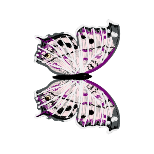 Swallowtail Butterfly Animals Swallowtail Butterfly Animals