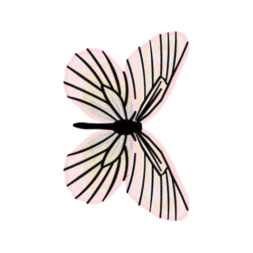 Swallowtail Butterfly Animals Swallowtail Butterfly Animals