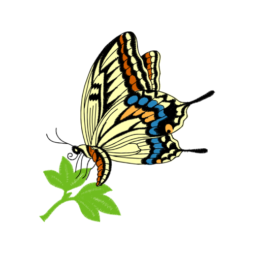 Swallowtail Butterfly Animals Swallowtail Butterfly Animals