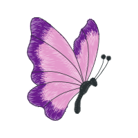 Swallowtail Butterfly Animals