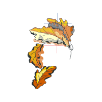 Swallowtail Butterfly Animals