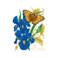 Swallowtail Butterfly Animals