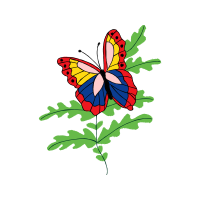 Swallowtail Butterfly Animals Swallowtail Butterfly Animals