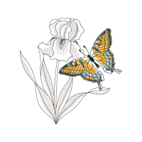 Swallowtail Butterfly Animals Swallowtail Butterfly Animals