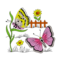 Swallowtail Butterfly Animals