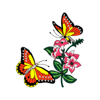 Swallowtail Butterfly Animals