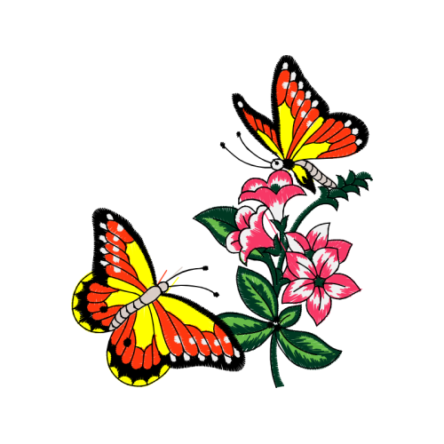 Swallowtail Butterfly Animals Swallowtail Butterfly Animals