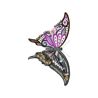 Swallowtail Butterfly Animals