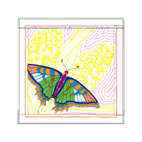 Swallowtail Butterfly Animals