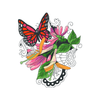 Swallowtail Butterfly Animals Swallowtail Butterfly Animals