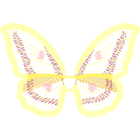 Swallowtail Butterfly Animals Swallowtail Butterfly Animals