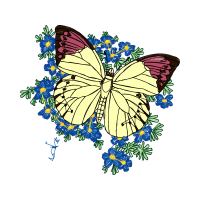 Swallowtail Butterfly Animals Swallowtail Butterfly Animals