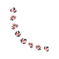 Swallowtail Butterfly Animals Swallowtail Butterfly Animals