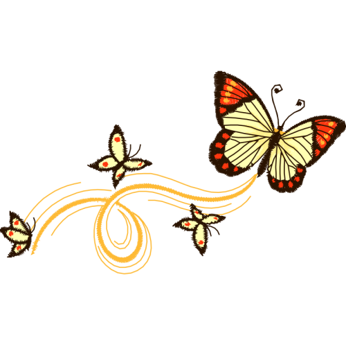 Swallowtail Butterfly Animals Swallowtail Butterfly Animals