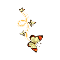 Swallowtail Butterfly Animals Swallowtail Butterfly Animals