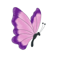 Swallowtail Butterfly Animals