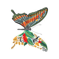 Swallowtail Butterfly Animals