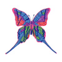 Swallowtail Butterfly Animals Swallowtail Butterfly Animals