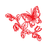 Swallowtail Butterfly Animals