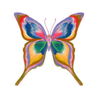 Swallowtail Butterfly Animals