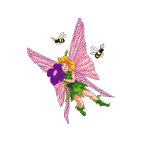 Swallowtail Butterfly Animals Swallowtail Butterfly Animals