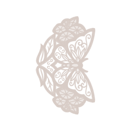 Swallowtail Butterfly Animals Swallowtail Butterfly Animals