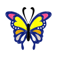 Swallowtail Butterfly Animals Swallowtail Butterfly Animals