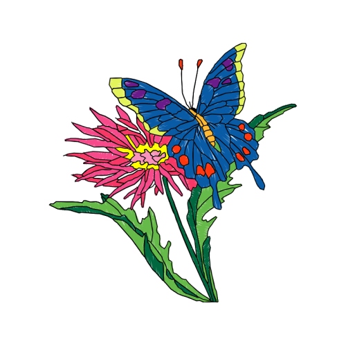 Swallowtail Butterfly Animals Swallowtail Butterfly Animals