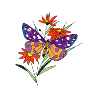 Swallowtail Butterfly Animals Swallowtail Butterfly Animals