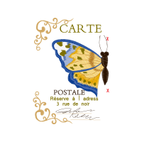 Swallowtail Butterfly Animals