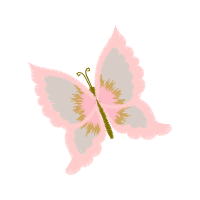 Swallowtails Animals Swallowtails Animals