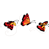 Swallowtails Animals Swallowtails Animals