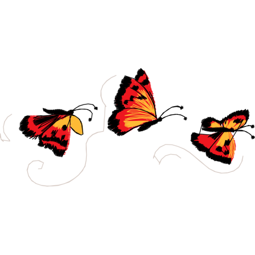 Swallowtails Animals Swallowtails Animals