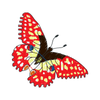 Swallowtails Animals Swallowtails Animals