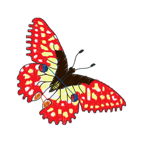 Swallowtails Animals Swallowtails Animals