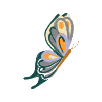 Swallowtails Animals Swallowtails Animals