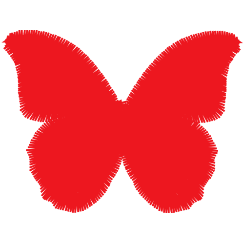 Swallowtails Animals Swallowtails Animals