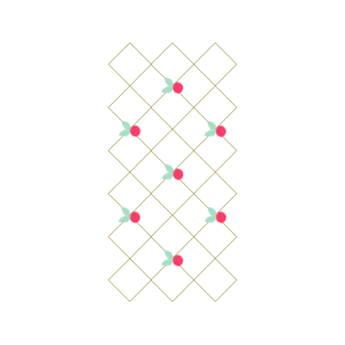 Symbol Animals Symbol Animals