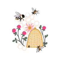 Tachinid Flies Animals Tachinid Flies Animals