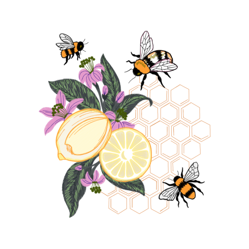 Tachinid Flies Animals Tachinid Flies Animals