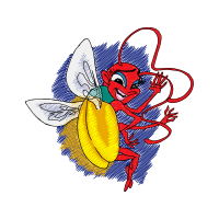 Tachinid Flies Animals Tachinid Flies Animals